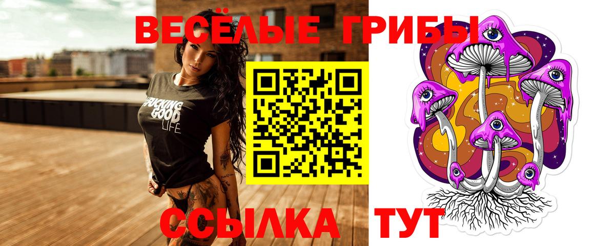Галлюциногенные грибы GOLDEN TEACHER Сальск